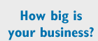 How big is your business ?